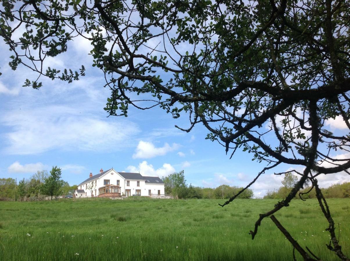 Penddaulwyn Uchaf Farm # Carmarthenshire Apartment Nantgaredig Екстериор снимка