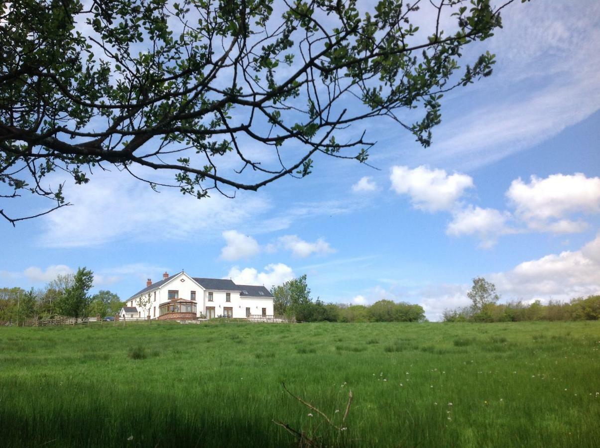 Penddaulwyn Uchaf Farm # Carmarthenshire Apartment Nantgaredig Екстериор снимка