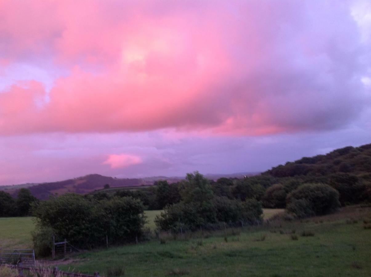 Penddaulwyn Uchaf Farm # Carmarthenshire Apartment Nantgaredig Екстериор снимка