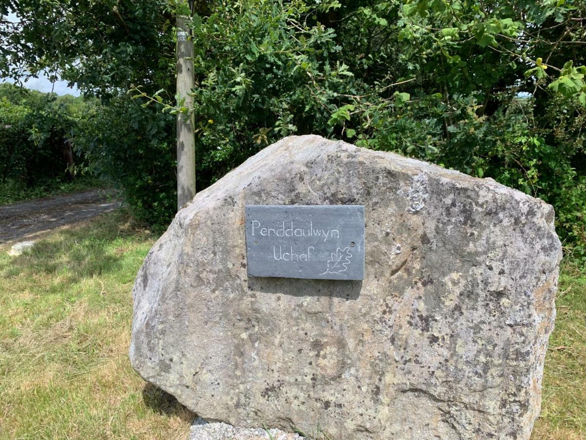 Penddaulwyn Uchaf Farm # Carmarthenshire Apartment Nantgaredig Екстериор снимка